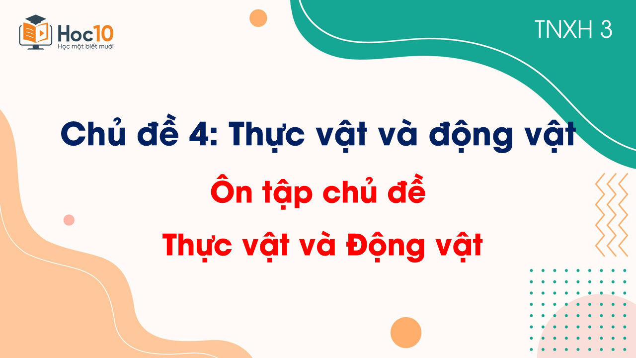 Chủ đề 4 - Ôn tập chủ đề Thực vật và động vật